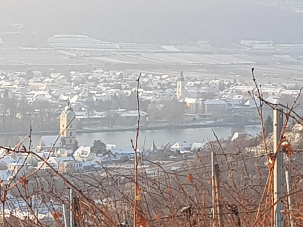 Blick Ueber Mit Terrasse *